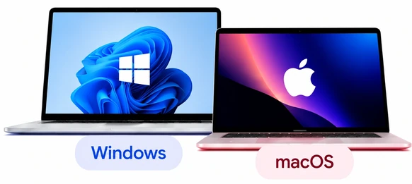 Windows and macOS laptops
