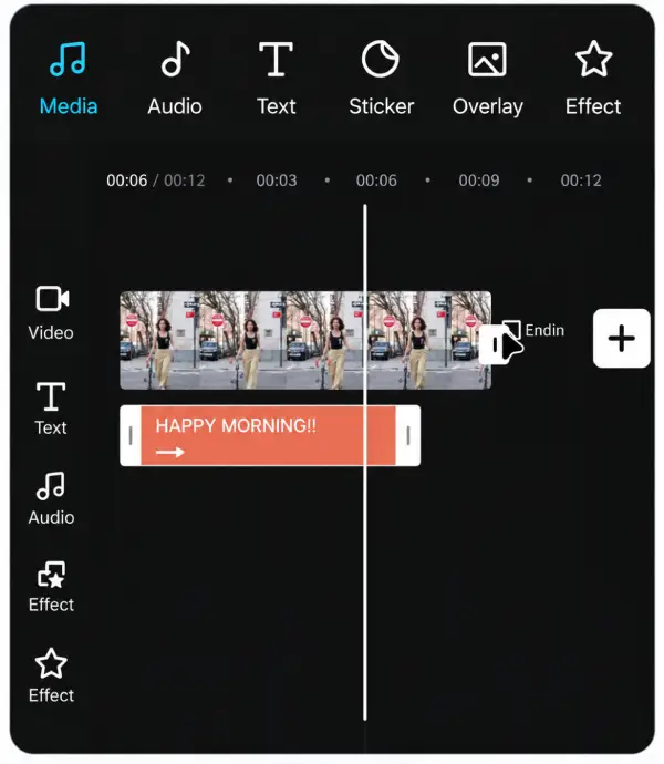 Video, text, voiceover, music and effects arranged on a timeline